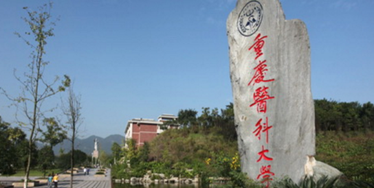 校園環(huán)境 (3)