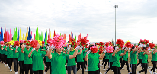 大理大學(xué)小學(xué)教育專業(yè)