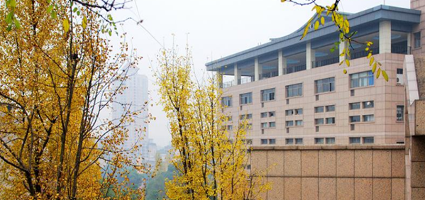 校園環(huán)境 (9)