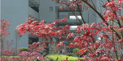 重慶三峽醫(yī)藥高等?？茖W校學校環(huán)境