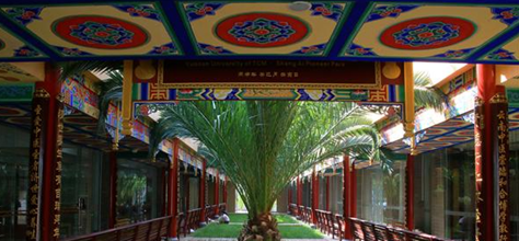 校園環(huán)境 (14)