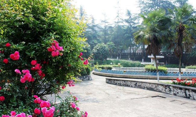 樂山市醫(yī)藥科技學(xué)校春暖花開