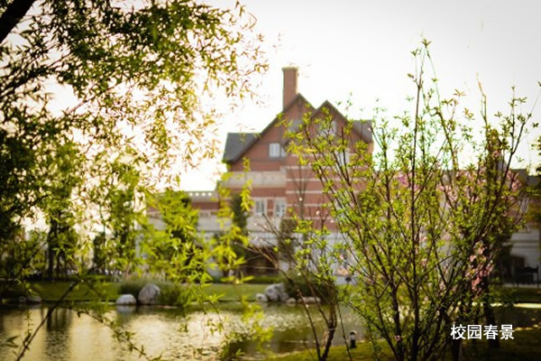 四川西南航空學(xué)校全景圖