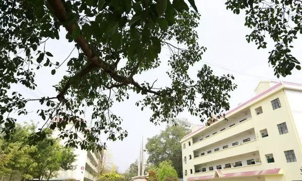 勐臘縣職業(yè)高級(jí)中學(xué)校園風(fēng)景