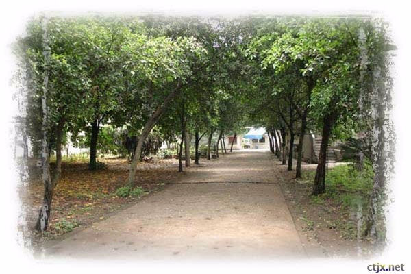 重慶鐵路運輸技師學院招生簡章