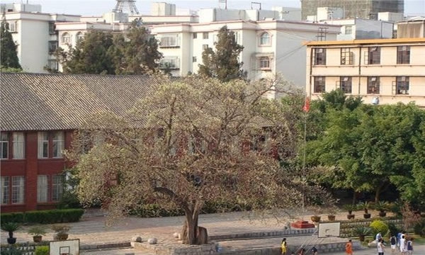 文山州工商信息管理學(xué)校