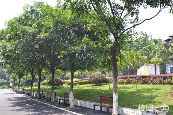 重慶光華女子學(xué)校校園一角