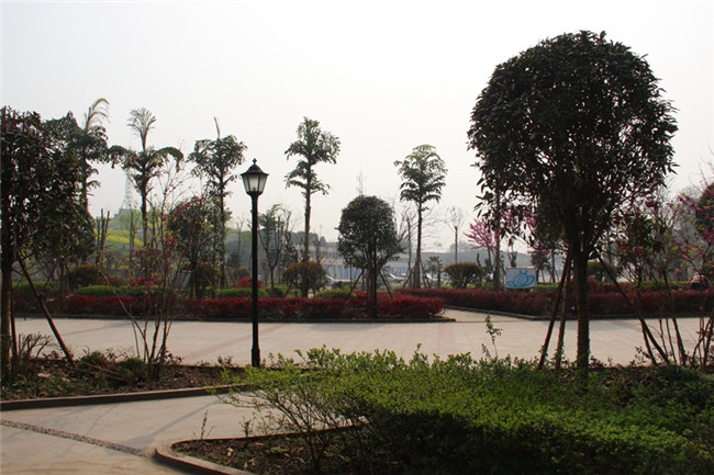 2025年重慶墊江縣第一職業(yè)中學(xué)校招生簡(jiǎn)章