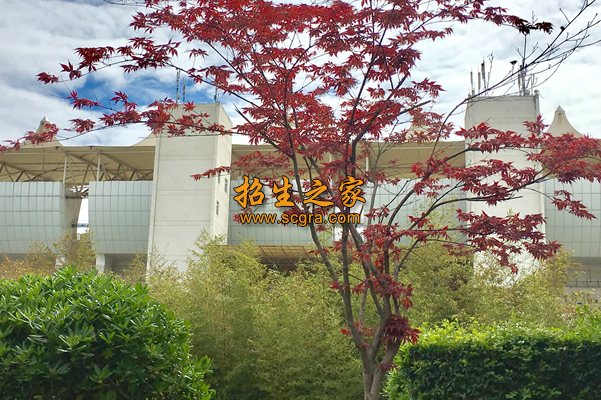 學(xué)校環(huán)境