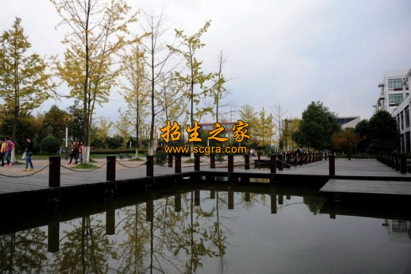 學(xué)校風(fēng)景