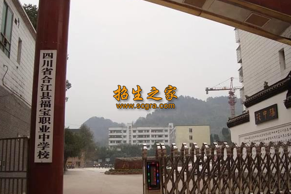 四川省合江縣福寶職業(yè)中學(xué)校