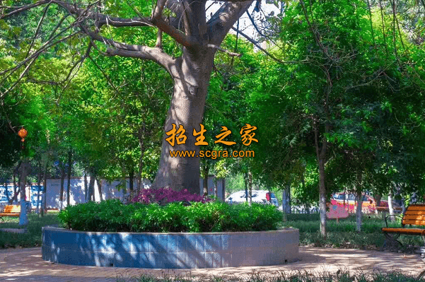 學(xué)校風(fēng)景