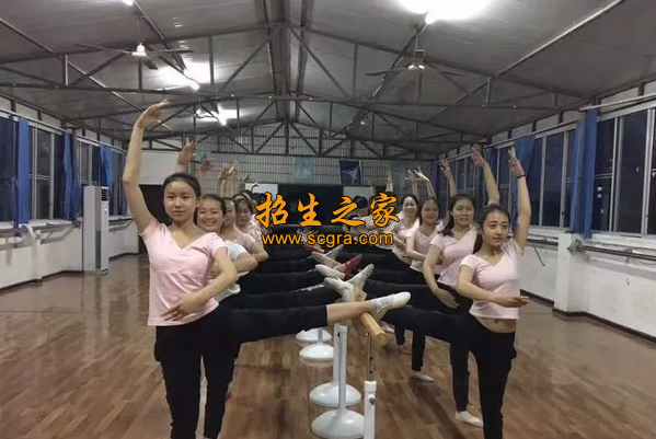 舞蹈專業(yè)訓練