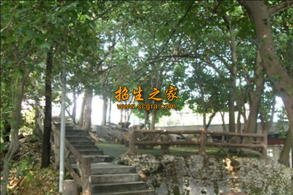 學校環(huán)境
