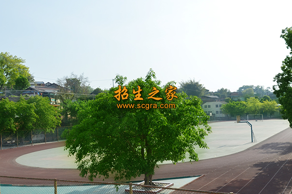 學(xué)校操場