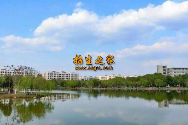 學(xué)校環(huán)境