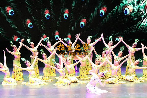 學(xué)?；顒?dòng)