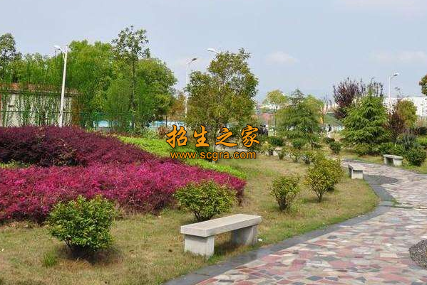 學(xué)校環(huán)境