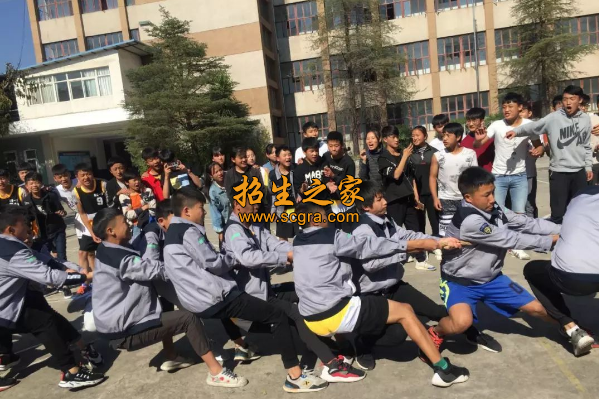 學(xué)?；顒?dòng)