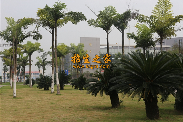 內江職業(yè)培訓學院