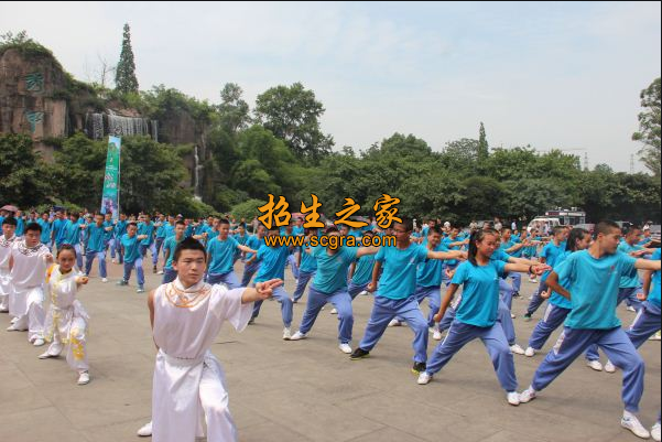 武術(shù)學(xué)習(xí)