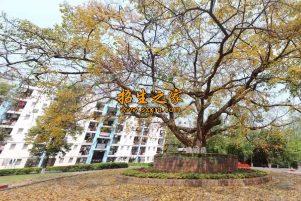 宜賓南亞電子職業(yè)技術(shù)學(xué)校