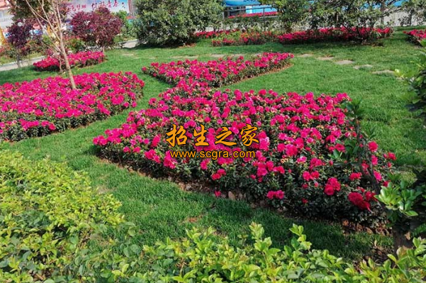 學(xué)校環(huán)境