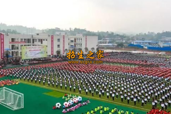 學(xué)?；顒?dòng)