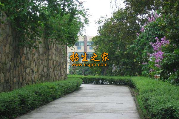 學(xué)校環(huán)境