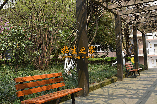 學(xué)校環(huán)境