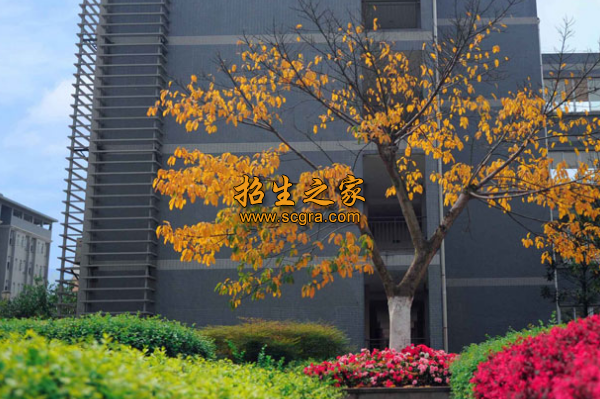 學(xué)校環(huán)境