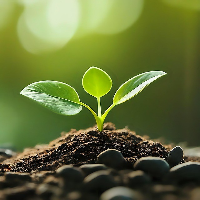 宜賓縣柳加職業(yè)中學(xué)2025年招生錄取分數(shù)線