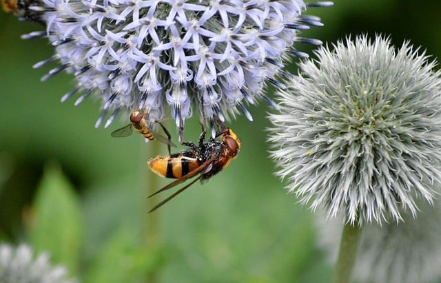 四川單招學(xué)校編碼查詢