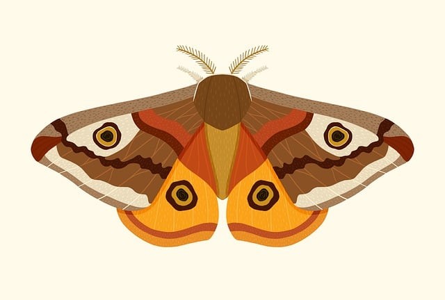 宜賓南溪單招培訓(xùn)班地址，宜賓南溪職業(yè)技術(shù)學(xué)校招生簡(jiǎn)章