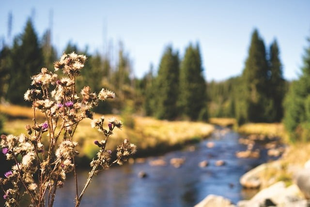 四川單招醫(yī)藥院校專業(yè)