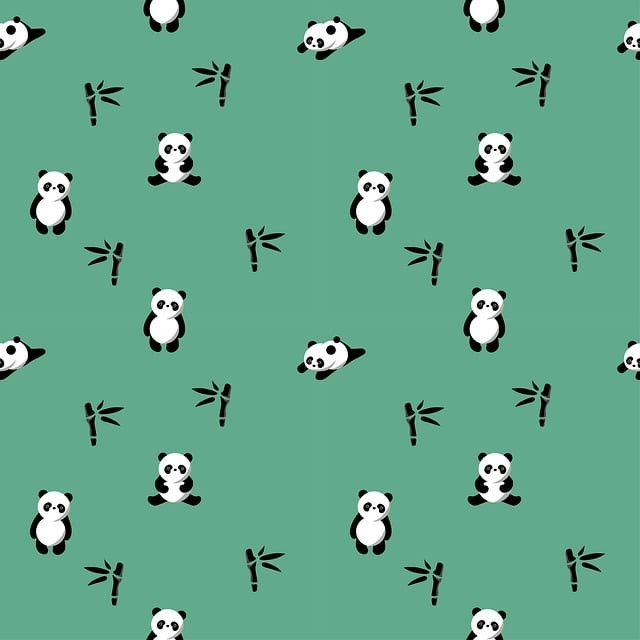 四川單招培訓(xùn)班哪里好些，四川單招培訓(xùn)學(xué)校有哪些