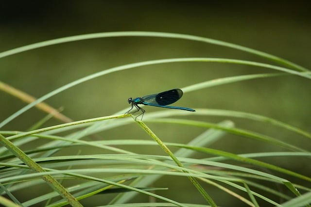 25年數(shù)學(xué)四川單招 25年數(shù)學(xué)四川單招