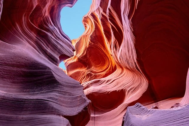 四川單招為什么壓分