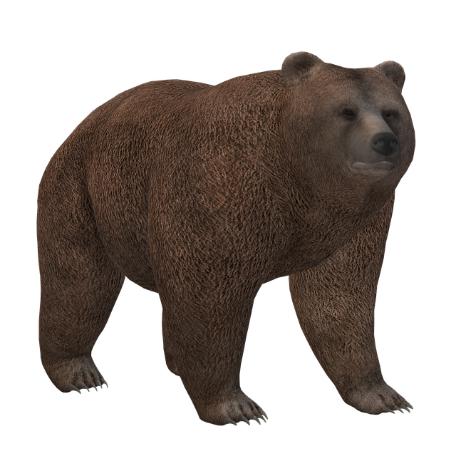 成都培訓(xùn)基地單招，成都有哪些單招培訓(xùn)機構(gòu)