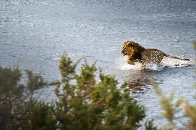 成都市廣播電視中等專業(yè)學(xué)校2025年招生錄取分?jǐn)?shù)線 成都市廣播電視中等專業(yè)學(xué)校2025年招生錄取分?jǐn)?shù)線