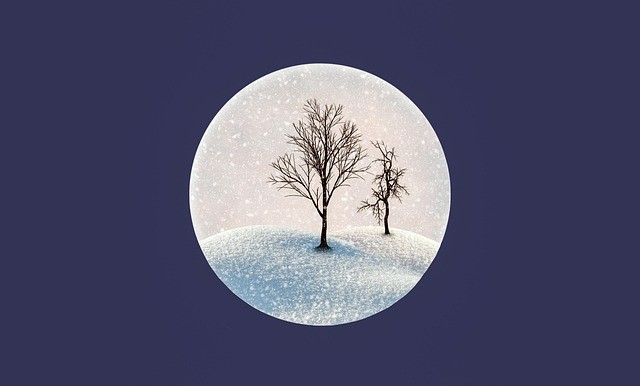 四川單招2026公辦