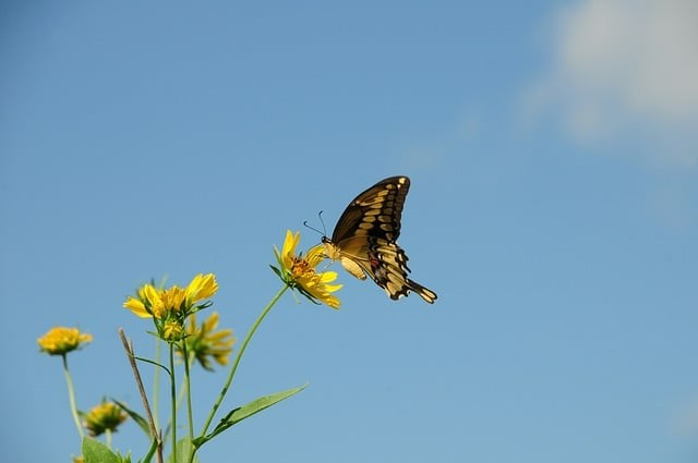 四川省瀘州天星影視藝術(shù)學(xué)校2025年招生錄取分?jǐn)?shù)線(xiàn) 四川省瀘州天星影視藝術(shù)學(xué)校2025年招生錄取分?jǐn)?shù)線(xiàn)