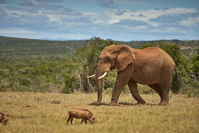 四川單招專科專業(yè)推薦