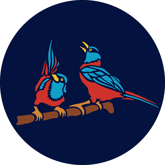 成都補課機構高中藝體，成都高中藝體集訓學校哪家好