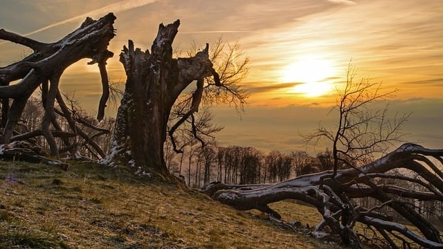 成都市電子信息學(xué)校學(xué)校簡介