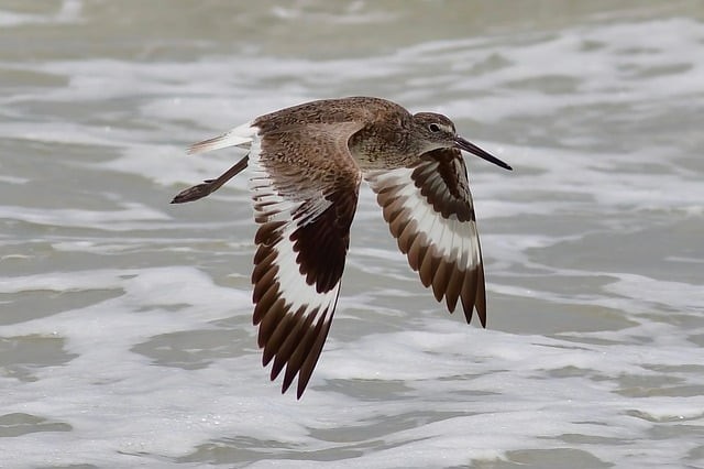 四川單招的利弊
