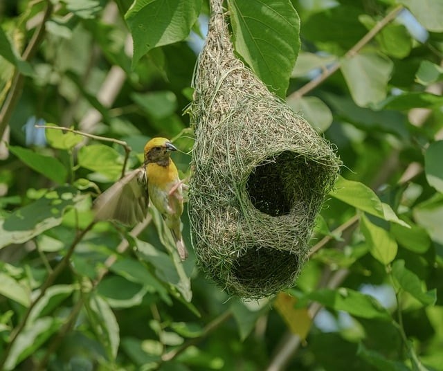 四川2025年單招報(bào)名