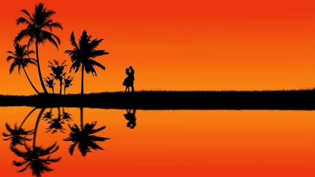 2025計(jì)算機(jī)單招四川