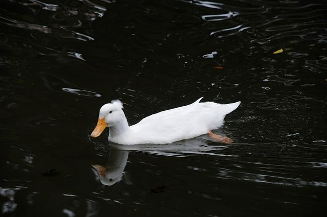 成都市新世紀文化職業(yè)技術學院2025年招生錄取分數(shù)