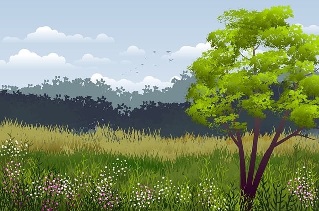 成都成華區(qū)單招培訓(xùn)收費(fèi)，成都單招培訓(xùn)機(jī)構(gòu)收費(fèi)